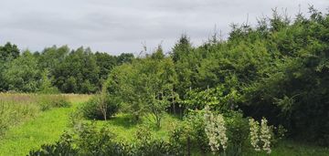 Zagospodarowana działka z sadem , prąd na działce