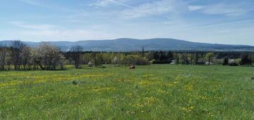 Duża działka rolna z wydanymi wz z panoramą gór