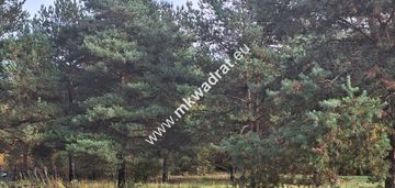 Wyjątkowa nieruchomość w świetnej lokalizacji