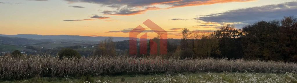 Bez sąsiadów w klimacie bieszczad z lasem i wz!