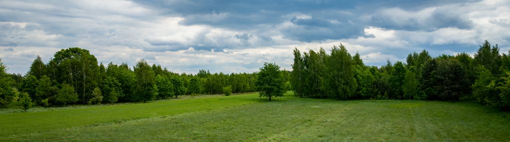 Działka budowlana nowe mostki koło sochaczewa