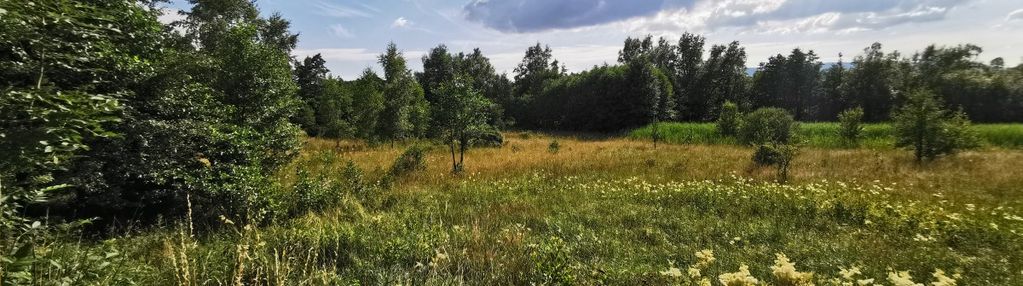 Możliwość podziału na 2-3 działki budowlane