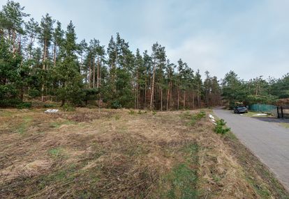 Wyjątkowa działka ze ścianą lasu!