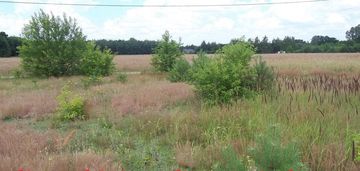 Działka 12000m2, bełdów