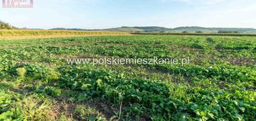 Inwestycyjna działka w krównikach