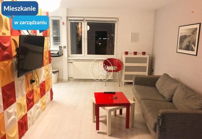 Przytulne dwupokojowe mieszkanie!