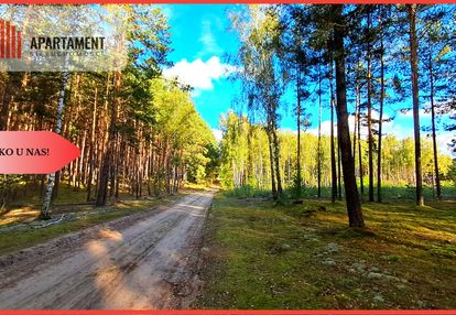 Duża działka rekreacyjna blisko jeziora!!!