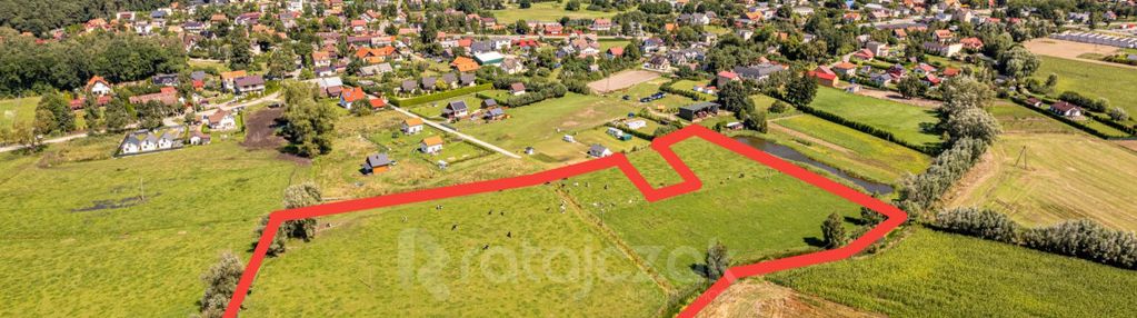 Stegna 2,4ha| możliwość kupna części działki!!