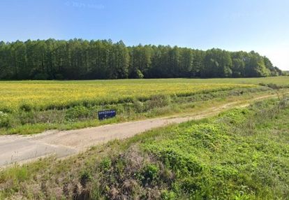Działka zagrodowa 3000m2, rzepniki