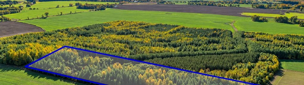 Działka leśna 2,83 ha – durąg, gmina ostróda