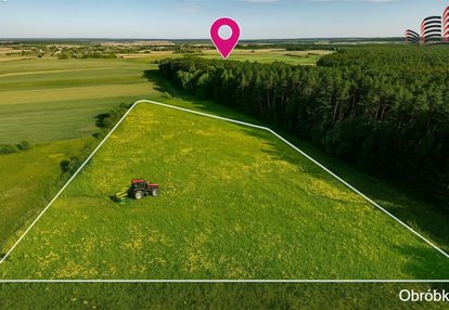Łąka 70 arów pod lasem, gmina trawniki