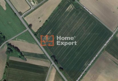 Okolice ul. spółdzielczej