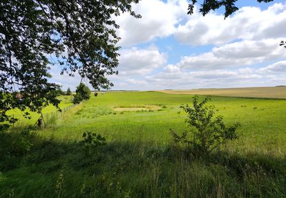 Działka budowlana ze stawem, mpzp, blisko media