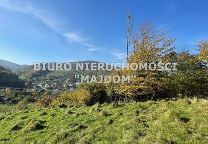 Widok na zaporę w tresnej