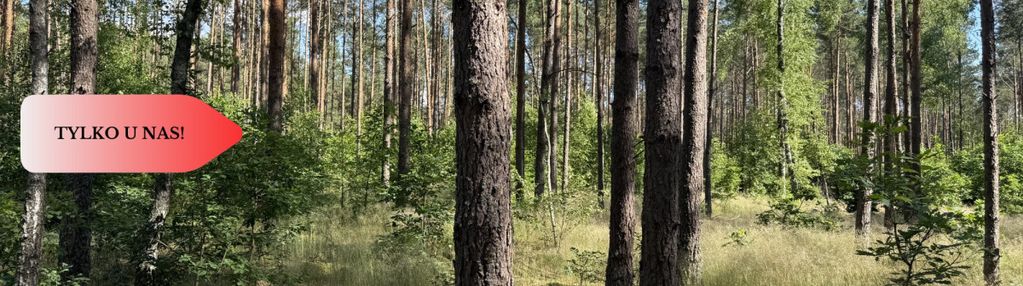 Działka leśna na sprzedać przy rzece wda.