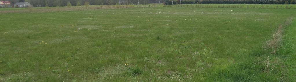 Działka 2000m2, ozorków