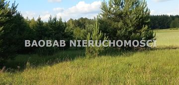 Piękna działka 1,3 ha na końcu wsi sródborze (wz)