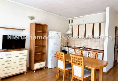 Do wynajęcia, m-3, 45m2 okolice parku