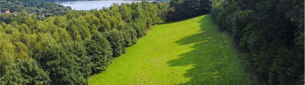 Zielony azyl w otoczeniu natury