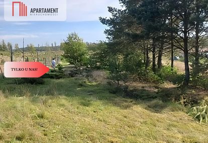 Dla kochających nature, jeziora, słońce. kaszuby!