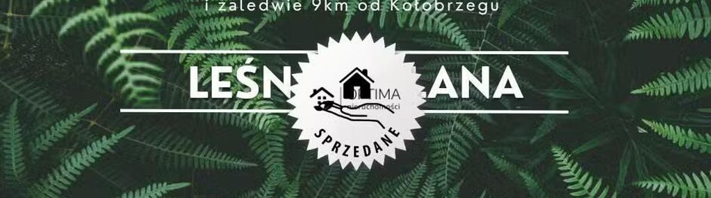 Działka z widokiem na las, obok vilpark
