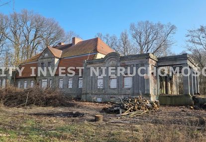 Atrakcyjne grunty z dworkiem do remontu.