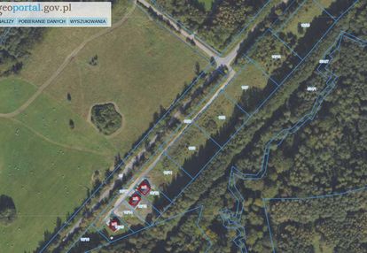 Działka 3005 m² | zieleń | spokojna lokalizacja