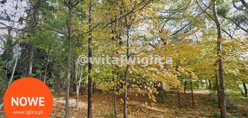 Działka rolna w pawłowicach