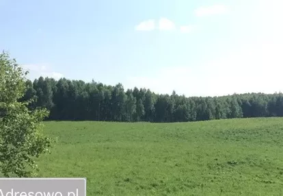 Działka na sprzedaż 3037m2