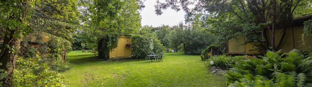 Działka budowlana z sadem i pasieką