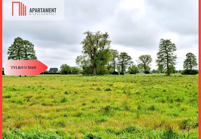 Dziemionna 730 m2 z warunkami zabudowy