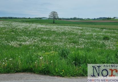 Działka 80 m od jeziora dreństwo