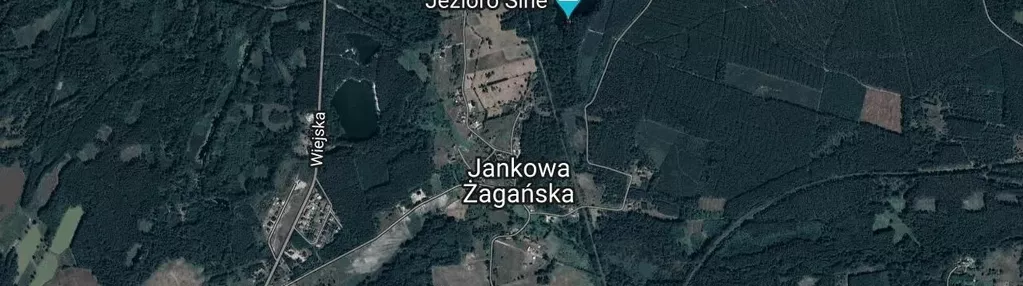 Działka na sprzedaż 1000m2