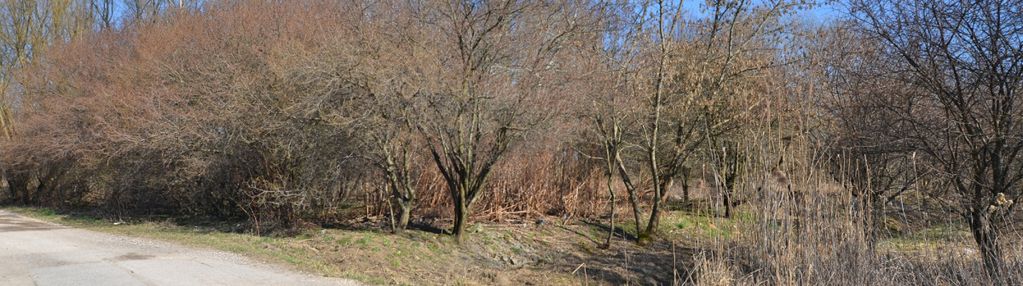 Działka 1800 m2 przy jeziorze dziekanowskim