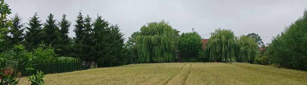 Działka budowlana 1080 m² – ostaszewo | wz | media