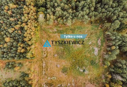 Działka budowlana w kowalewie pod lasem