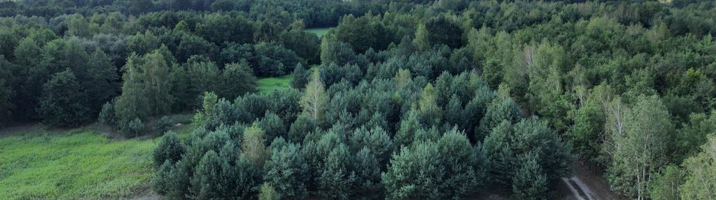 Piękna działka stanisławów gm. leoncin 4000 m2