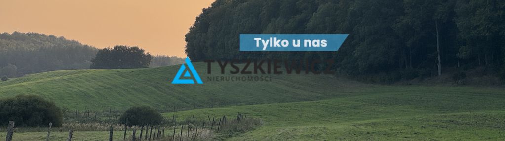 Kompleks 6 działek przy lesie trzepowo