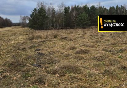 Grunt rolny 3,53 ha w piasku małym koło solca