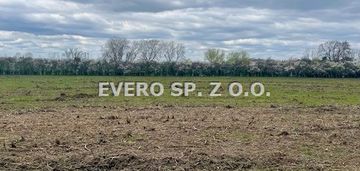 Cesarzowice działka budowlana