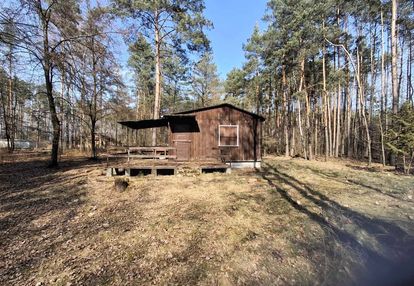 Działka w lesie z drewnianym domkiem sięganów