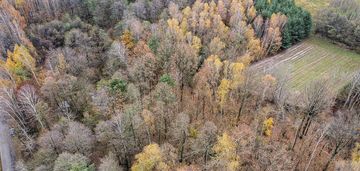 Działka 1,61 ha w lesie z altaną i oczkiem wodnym