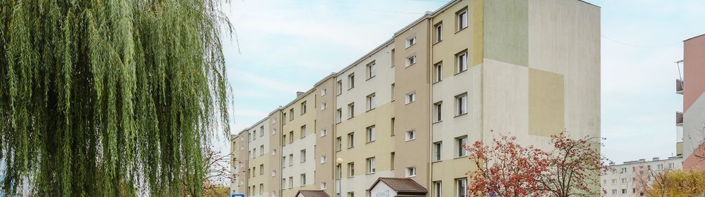 3 pokoje z dużym balkonem suchostrzygi