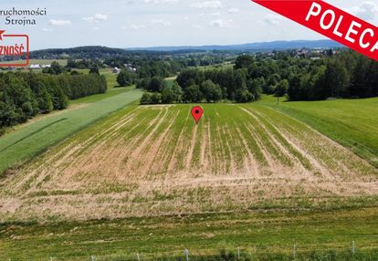 Piękna działka 60a- sławkowice gmina biskupice