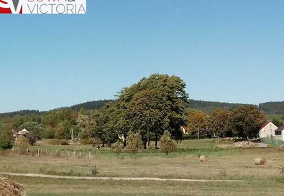 Słoneczna działka w atrakcyjnym miejscu