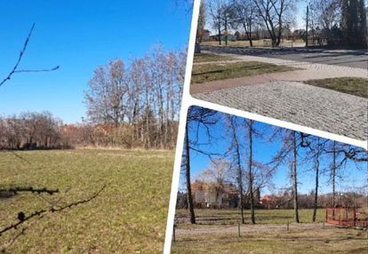 Okazja w centrum kampinosu