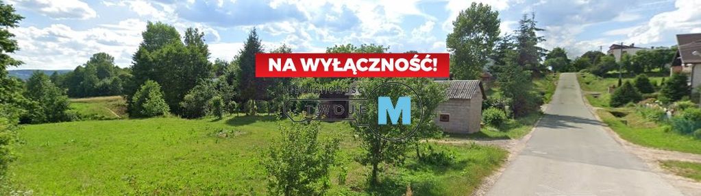 Szeroka dizałka z ogromnym potencjałem k.bodzentyn