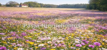 Działki bądkowo kościelne