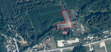 Działka budowlana 3 239 m2 zakościele nad pilicą