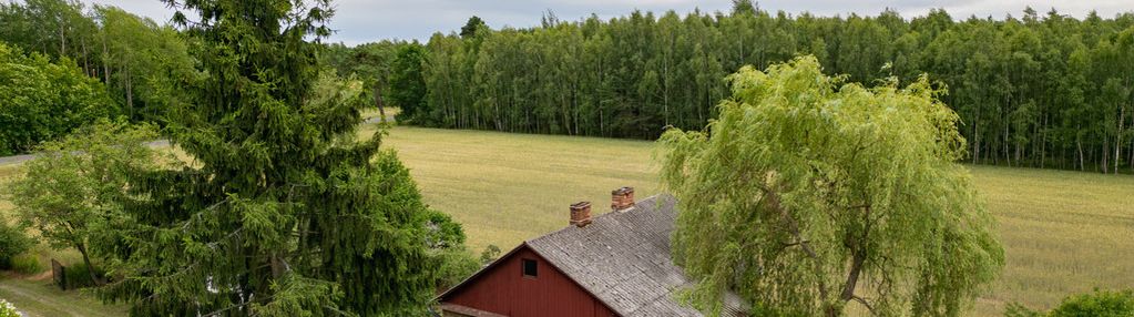 Piękna leśniczówka siedlisko